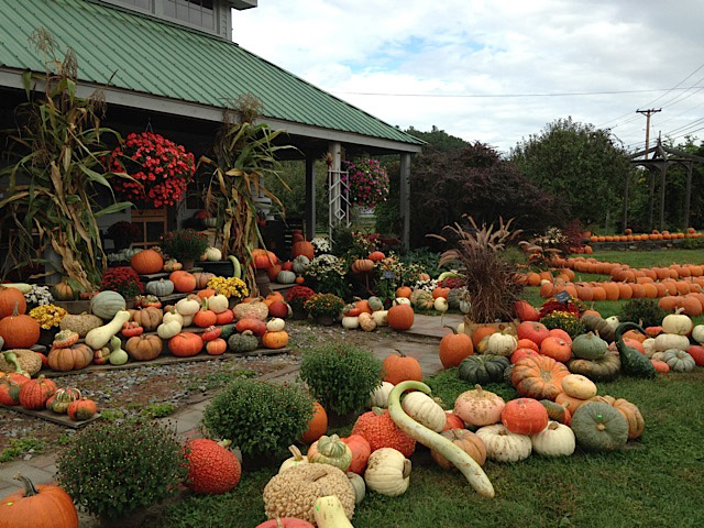 Pumpkins