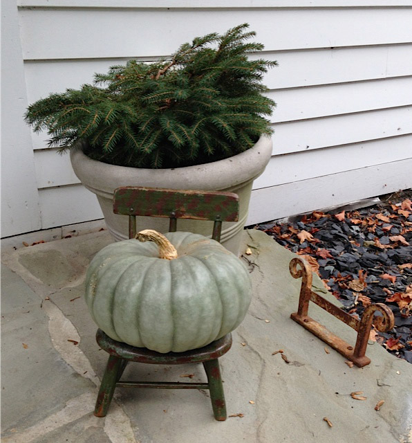 Pumpkin