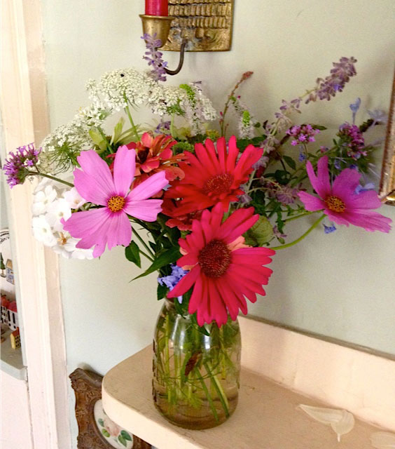 Garden Flowers