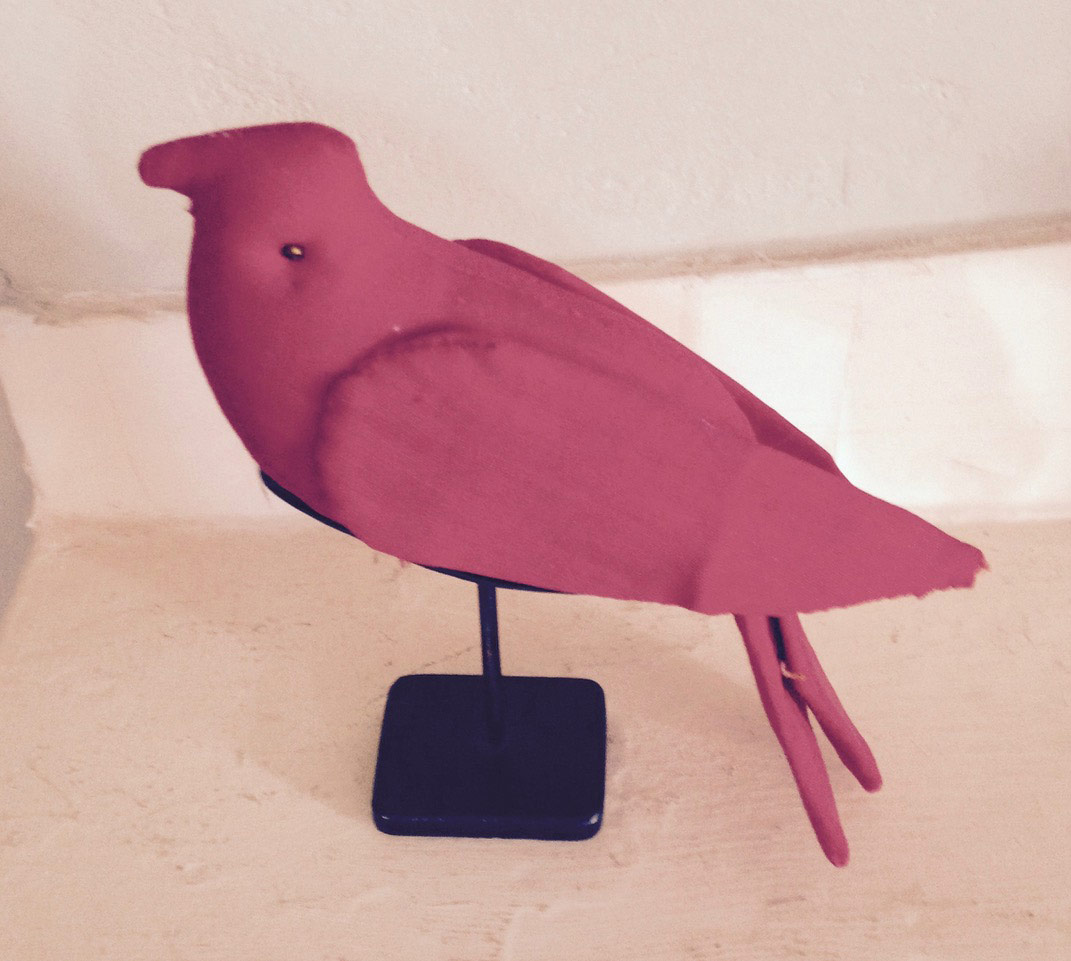 Red Amish bird