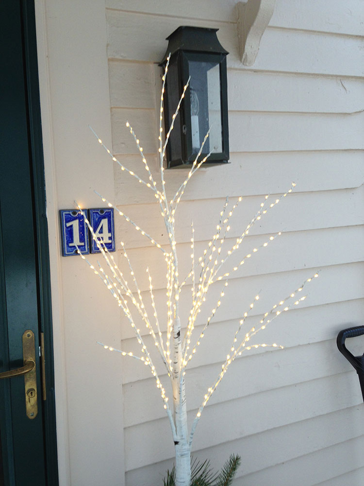 Outdoor Tree