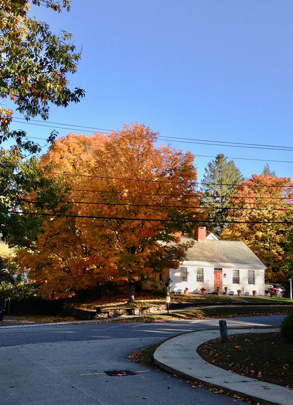Fall