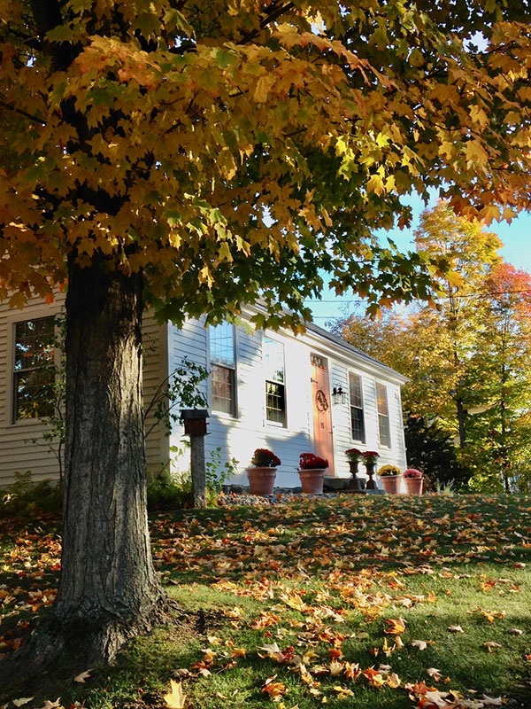 Fall